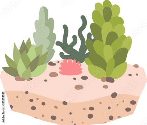 Decorative evergreen plants in soil flat icon Houseplant