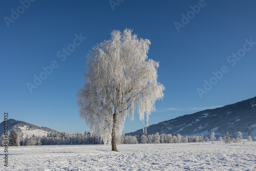 Eisiger Wintertag © Matthias_Haberstock