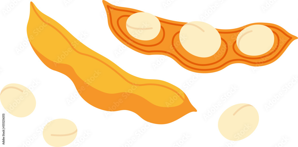 Soybeans flat icon Green healthy plant Agriculture Soybeans flat icon Green healthy plant Agriculture