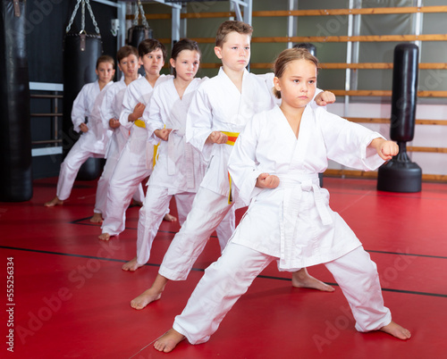 Group of children posing together, practicing karate moves at class indoor