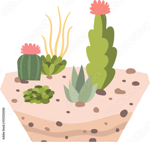 Decorative cactus and succulent plants in soil flat icon Houseplant