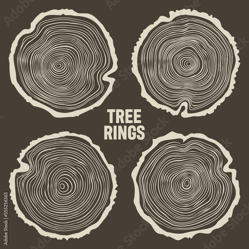 Round tree trunk cuts, sawn pine or oak slices, lumber. Saw cut timber, wood. Brown wooden texture with tree rings. Hand drawn sketch. Vector illustration
