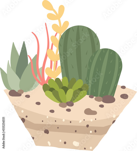 Decorative succulent plants and cactus in soil flat icon Houseplant