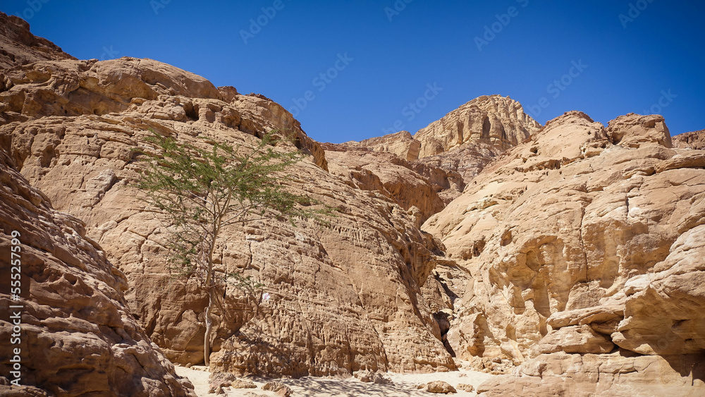 Desert landscapes Israel Eilat