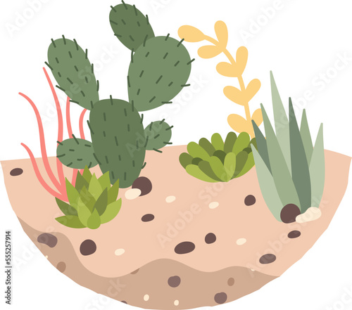 Decorative cactus and succulent plants in soil flat icon Houseplant