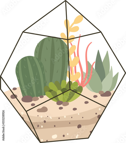 Glass terrarium with cactus plants flat icon Decor element