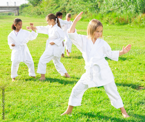 Confident preteen girl practicing karate movements with hands during group class in summer park on sunny day..