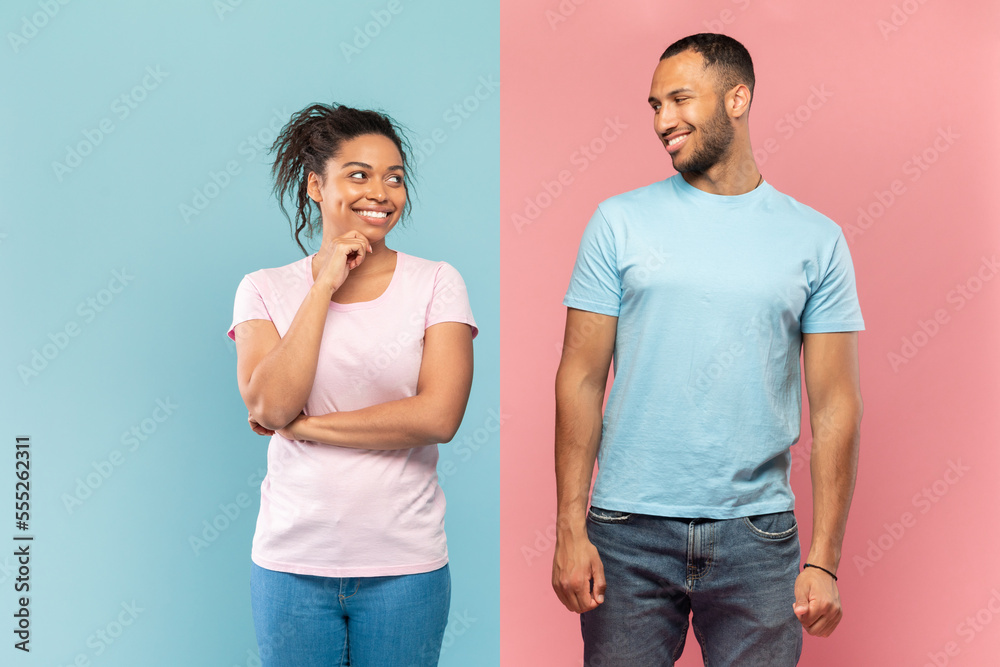 Happy mysterious black couple looking at each other and smiling, standing isolated over halved pink and blue wall Happy mysterious black couple looking at each other and smiling, standing isolated over halved pink and blue wall