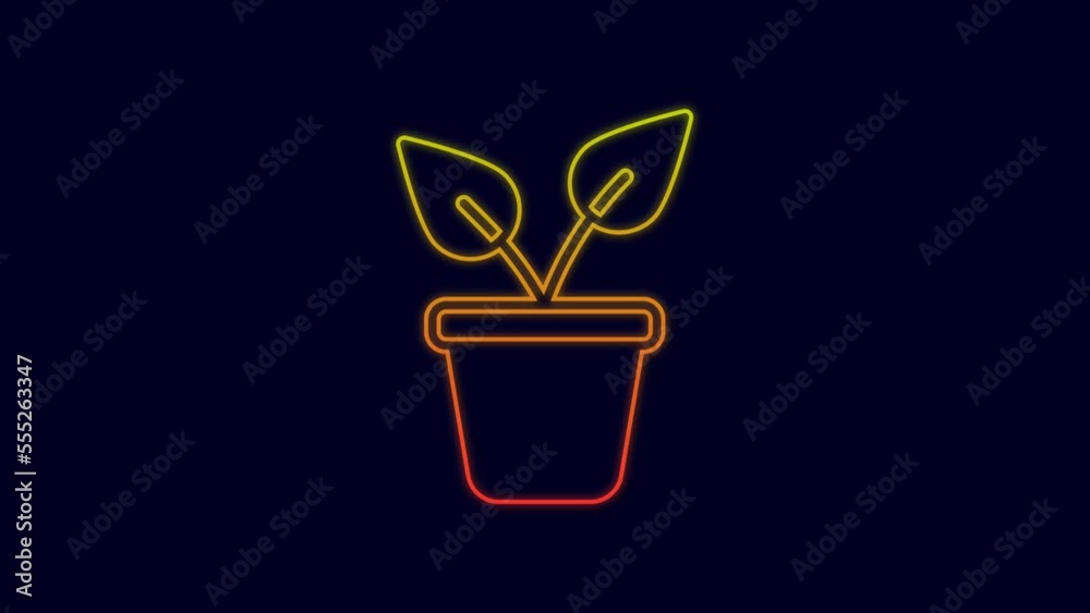 Glowing neon line Plant in pot icon isolated on blue background. Plant growing in a pot. Potted plant sign. 4K Video motion graphic animation Glowing neon line Plant in pot icon isolated on blue background. Plant growing in a pot. Potted plant sign. 4K Video motion graphic animation