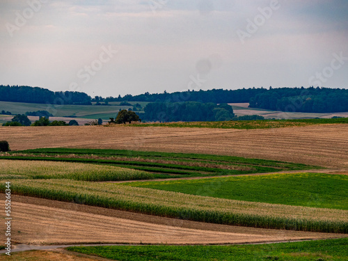 Agrarlandschaft im Sommer
