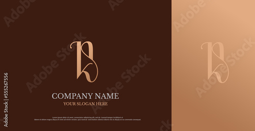Initial NK Logo Design Vector 