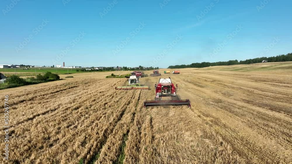 Combine Harvester on Wheat harvesting in field, aerial view. Winter Wheat planting, breadbasket, autumn grain harvest, drone view. Wheat and corn markets. Wheat import, maize (corn). Combine Harvester on Wheat harvesting in field, aerial view. Winter Wheat planting, breadbasket, autumn grain harvest, drone view. Wheat and corn markets. Wheat import, maize (corn).
