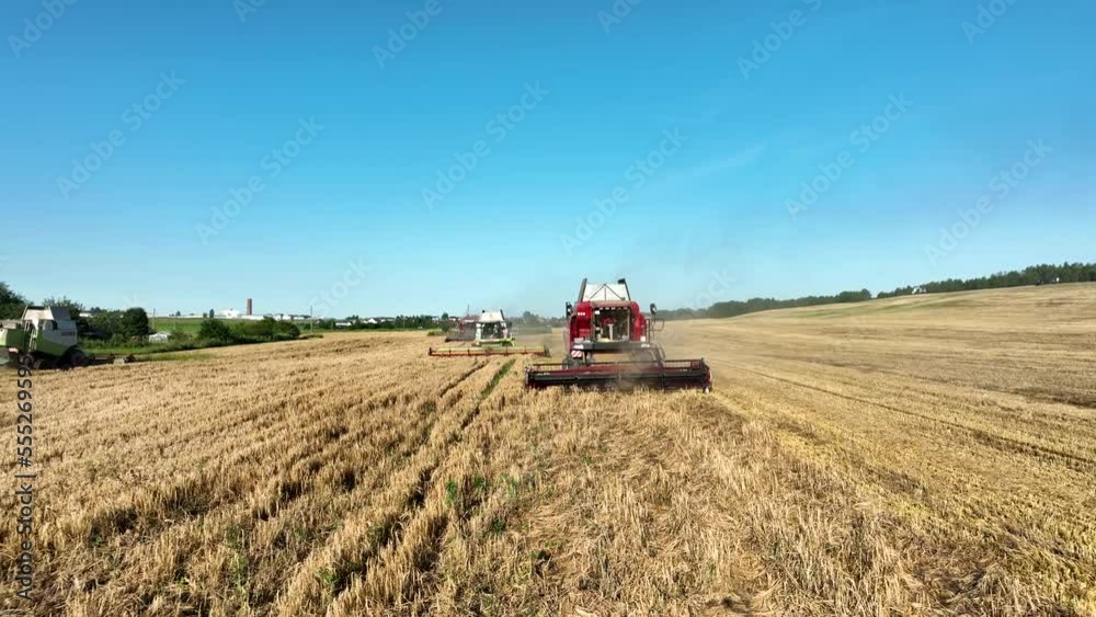 Combine Harvester on Wheat harvesting in field, aerial view. Winter Wheat planting, breadbasket, autumn grain harvest, drone view. Wheat and corn markets. Wheat import, maize (corn). Combine Harvester on Wheat harvesting in field, aerial view. Winter Wheat planting, breadbasket, autumn grain harvest, drone view. Wheat and corn markets. Wheat import, maize (corn).