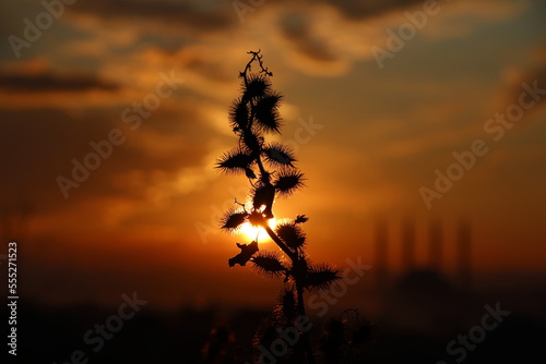 sunset in the city