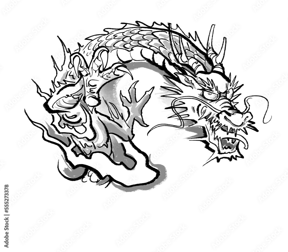 Obraz premium 威嚇する竜