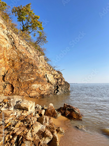 Oaks on the slope of a hill on the shore of Lake Khanka in autumn. Russia, Primorsky Krai © irinabal18
