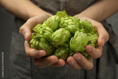 Woman holding pile of fresh ripe hops, closeup