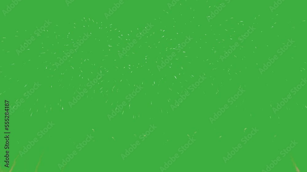 Abstract Firework on green chroma key background, 4th of July independence day concept. High quality 4k chromakey video
