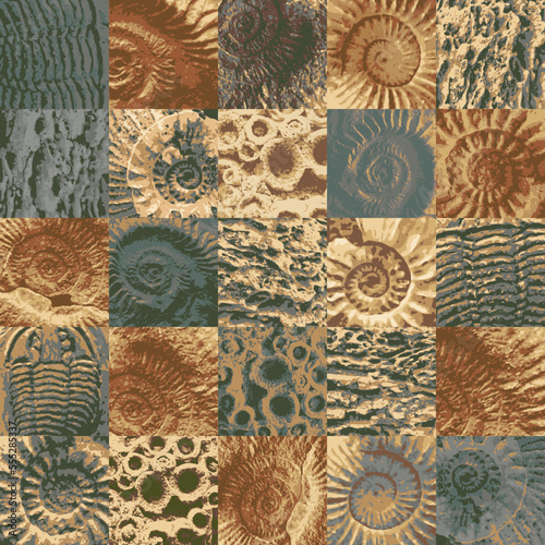 vector abstact seamless pattern background with sea stone texture with imprints of shells of ancient ammonite shells. Suitable for wallpaper design, wrapping paper, fabric, ceramic tiles