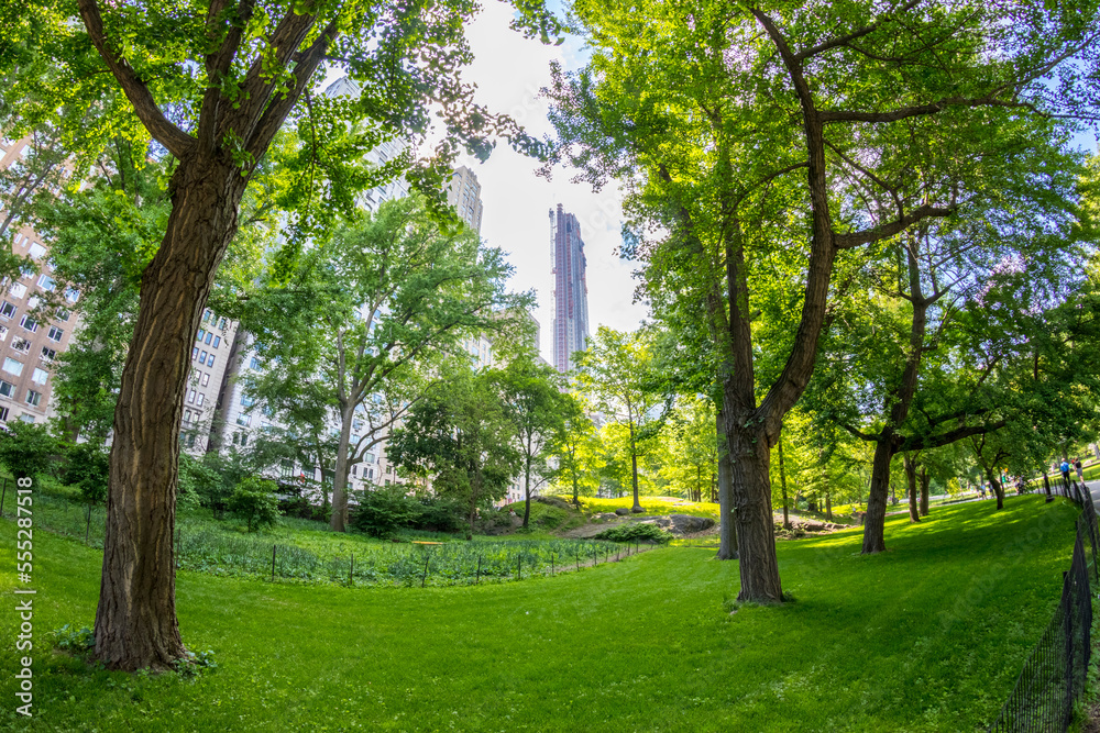 Manhattan skyline and Central Park, New York City, United States. Manhattan skyline and Central Park, New York City, United States.