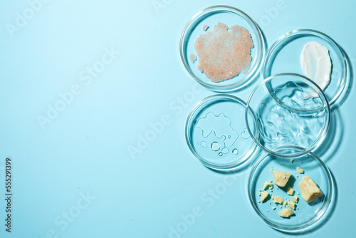 Many petri dishes with samples on light blue background, flat lay. Space for text