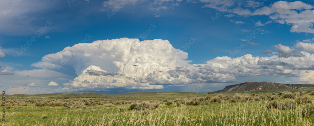 A thunderhead grows over the Wyoming prairie.