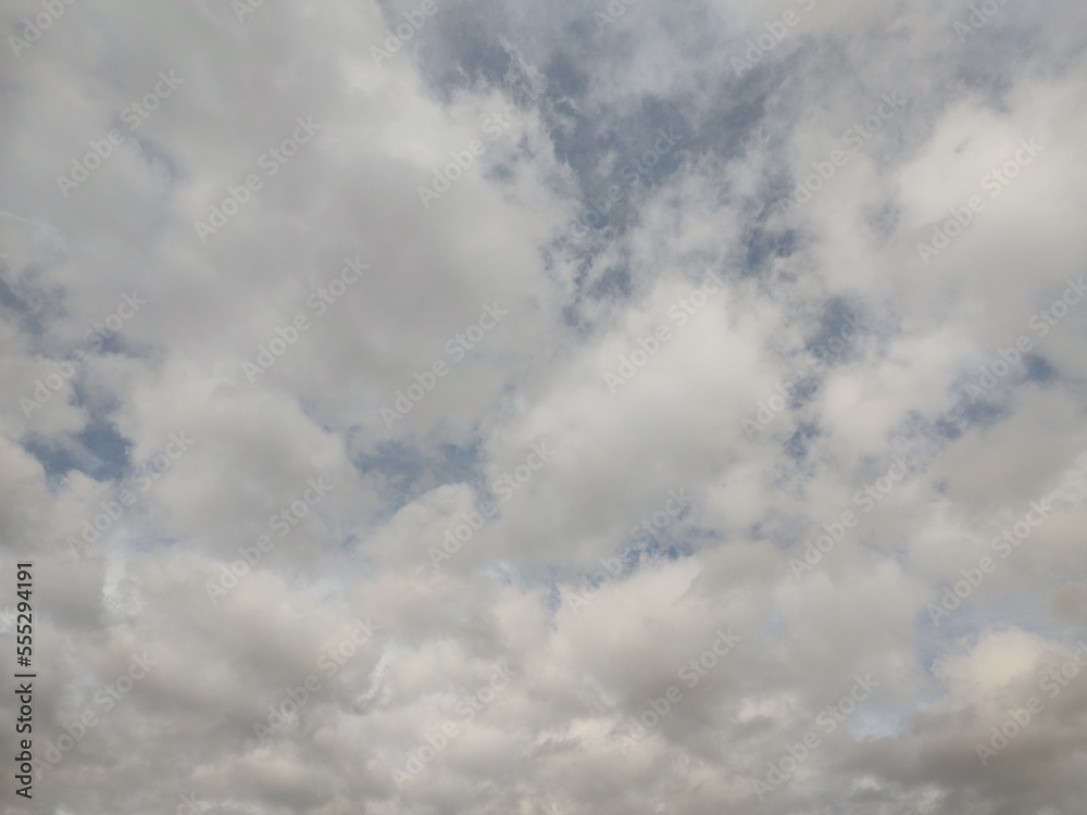 Obraz premium 東京のそら(22.12.21)