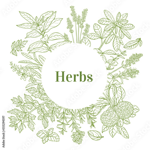 Round Template with Herbs in Hand-Drawn Style