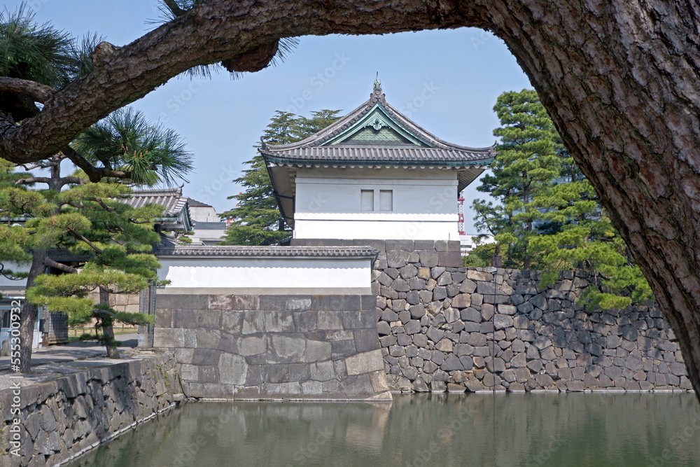 Japanese castle, building frame with river and pine tree in springtime Japanese castle, building frame with river and pine tree in springtime