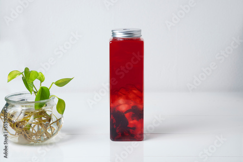 Close up shot of hibiscus tea in a long container with a plant on the side photo