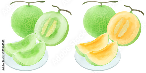 美味しそうなカットされたメロンのイラスト／Illustration of a cut melon that looks delicious