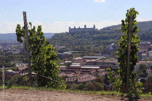 Würzburg im Weinberg Würzburger Stein im Herbst mit Blick auf die Stadt Aussicht über den Main