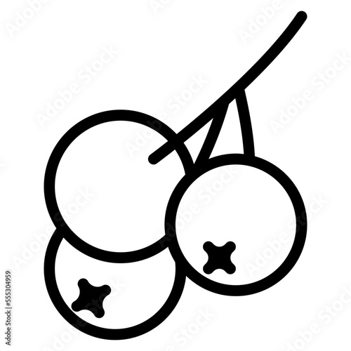 cranberry outline icon