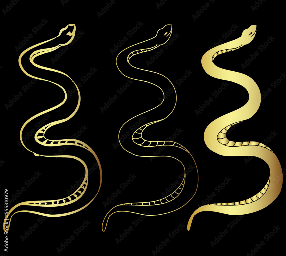 Naklejka premium Hand drawn snake vector Illustration isolate on white background.Milk snake vector.Red snake vector.Lampropeltis triangulum vector.Sticker and hand drawn snake for tattoo.
