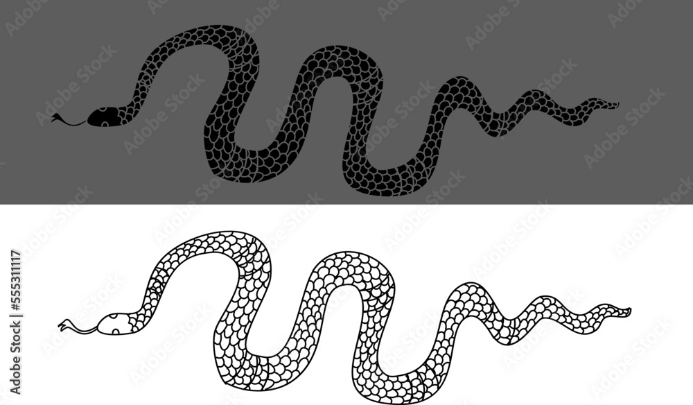 Obraz premium Hand drawn snake vector Illustration isolate on white background.Milk snake vector.Red snake vector.Lampropeltis triangulum vector.Sticker and hand drawn snake for tattoo.