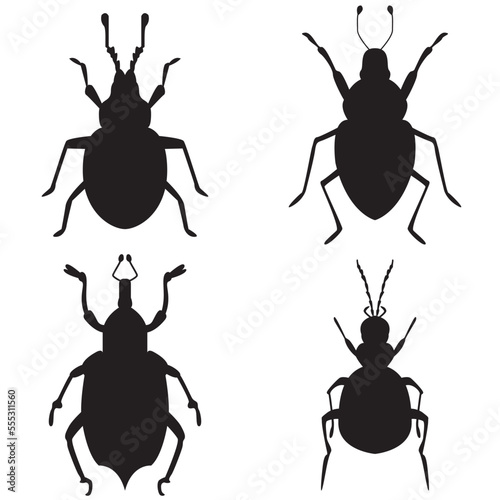 silhouette of a cockroach © Antonius