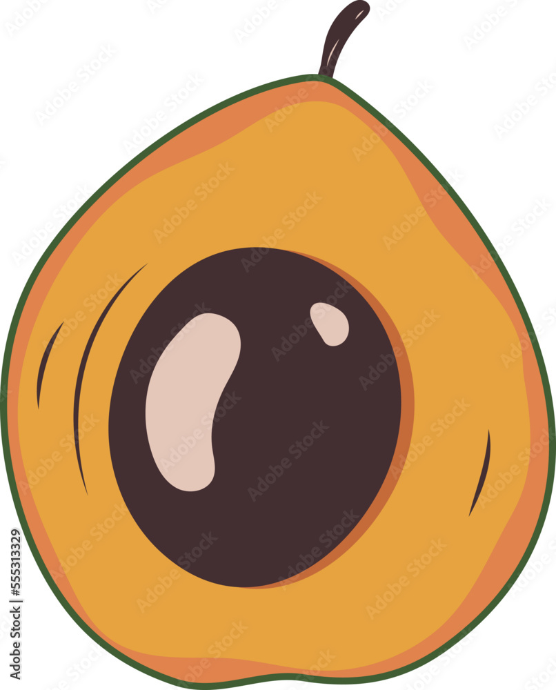 Fototapeta premium Lucuma Exotic Tropical Fruit Illustration Graphic Element Design Art 