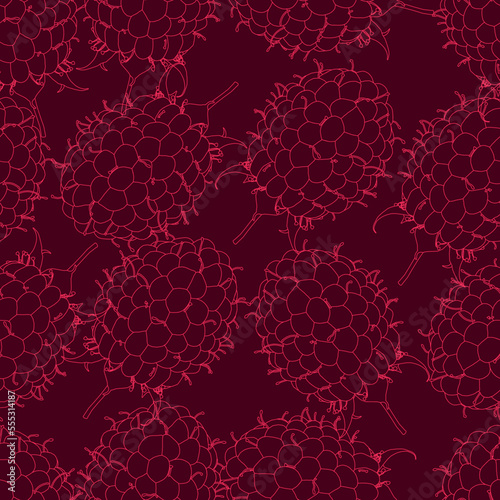 Seamless texture with contours of red raspberries isolated on a dark background. Vector illustration.