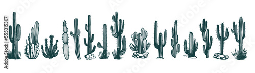Cactus set hand drawn illustrations, vector	
