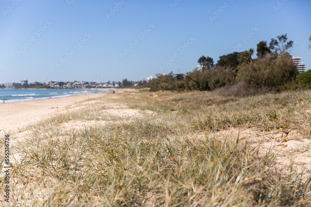 custom made wallpaper toronto digitalMaroochydore beach sand dunes and dune grass