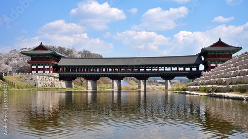 Spring scenery of Woljeonggyo Bridge in Gyeongju  South Korea