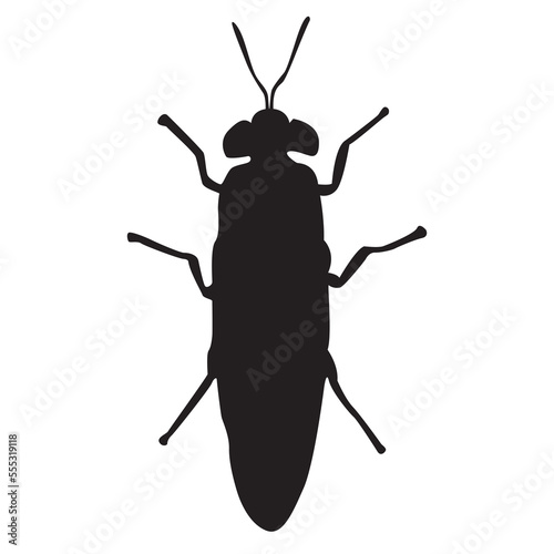 Black Solder Fly larvae asset vector illustration