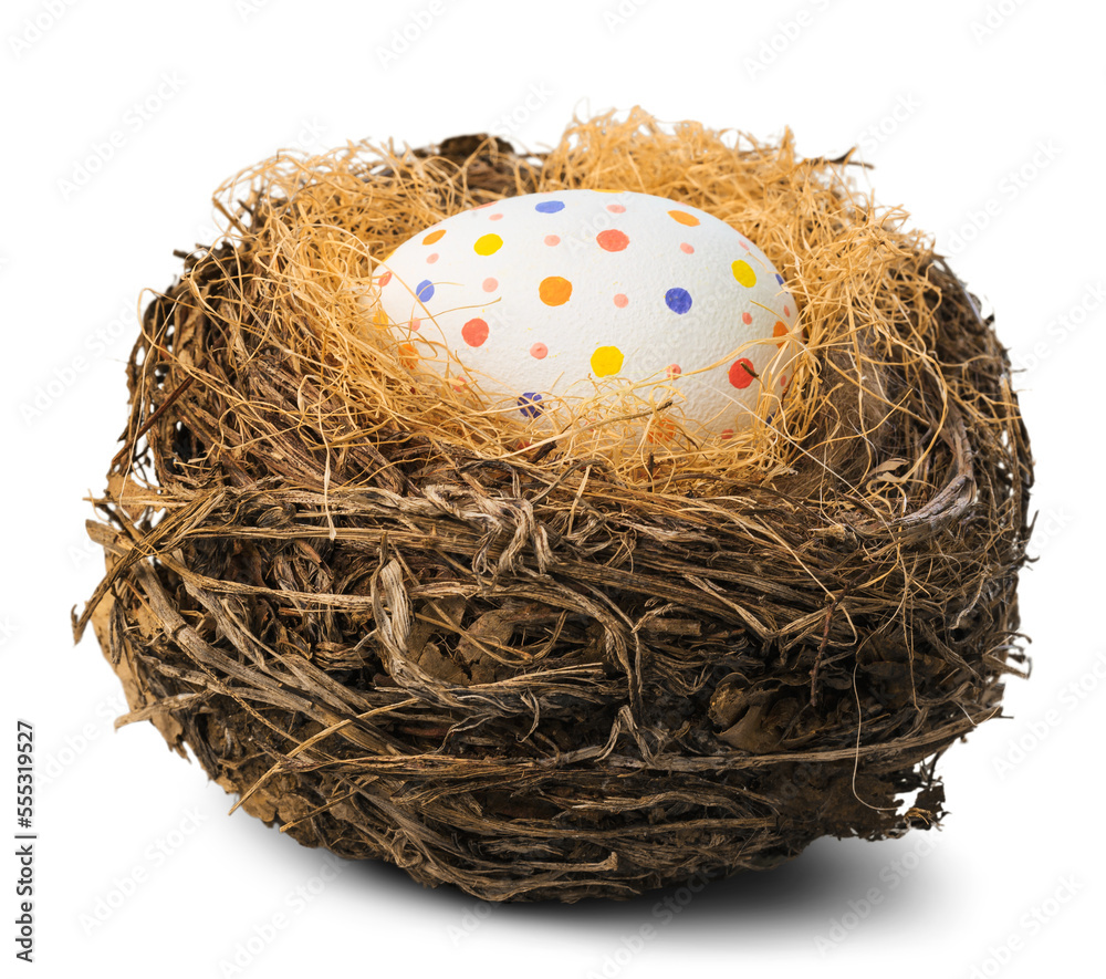 Fototapeta premium Colorfully painted easter egg in the nest