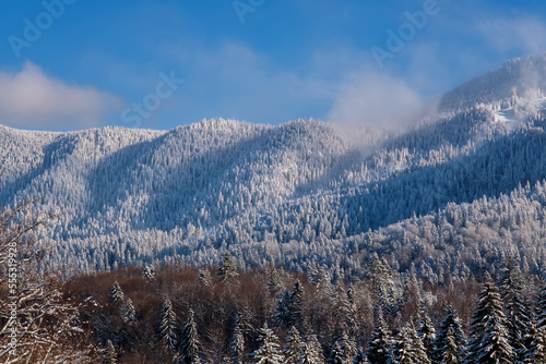 Beautiful alpine panoramic winter view of snow capped mountains, spruce trees under bright sunny light in frosty morning. Christmas nature background with copy space. Ideal for greeting cards
