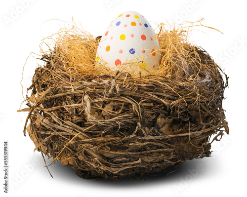 Photography Colorfully painted easter egg in the nest