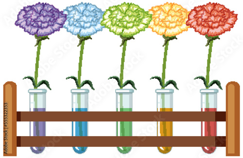 Colour changing flower science experiment