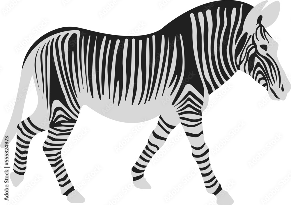 Obraz premium Zebra in flat style. Striped black and white animal.