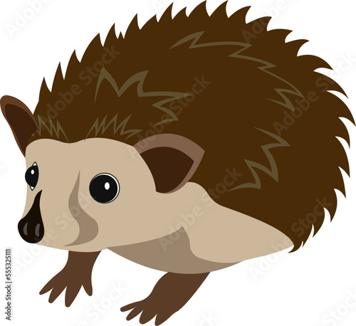 Cartoon hedgehog. Young hedgehog with sharp spines.