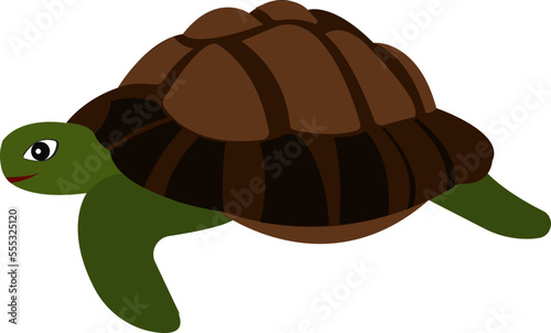 Cartoon turtle. Turtle with a shell. Wild animal.