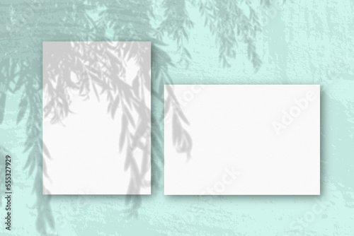 Horizontal and vertical sheets of white textured paper against a green wall background. Mockup with an overlay of plant shadows. Natural light casts shadows from an willow branch